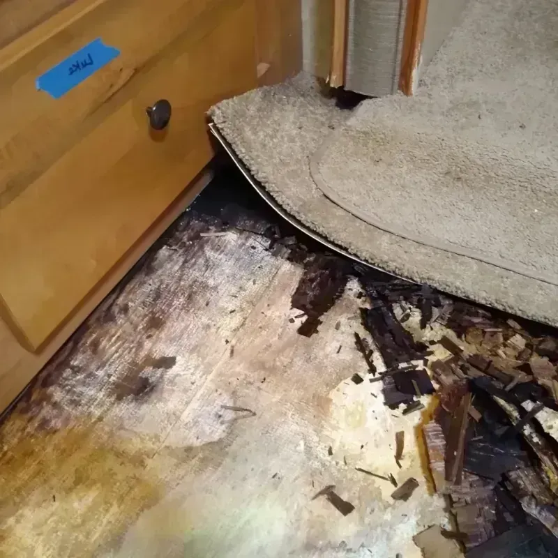 Wood Floor Water Damage in Garfield Heights, OH